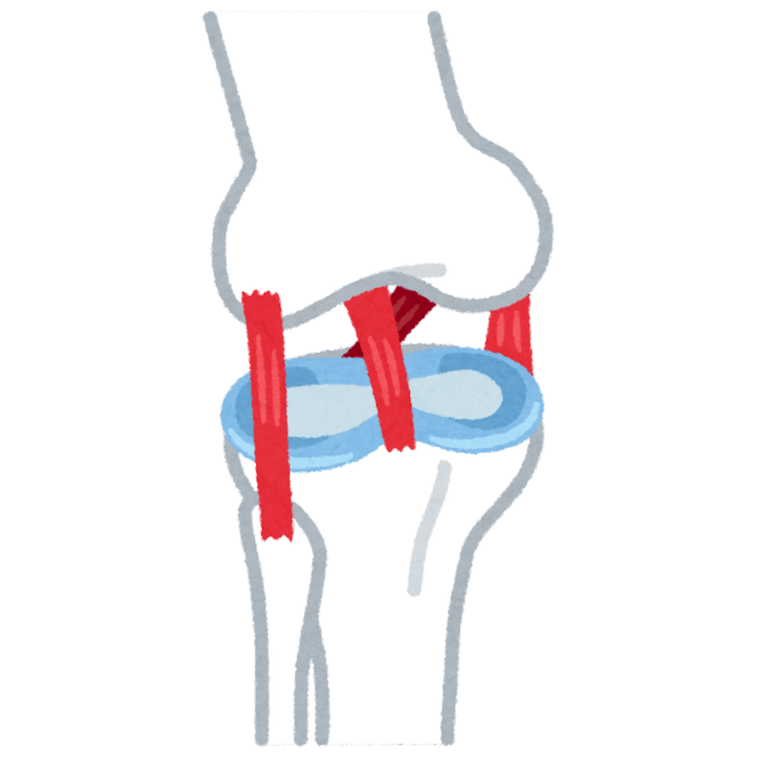 Supports Cartilage Repair - Joint Restore Gummies